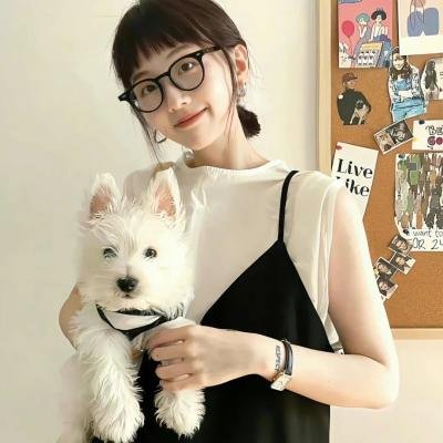 爱在圣诞城堡